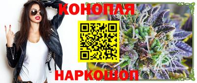 гашик Долгопрудный
