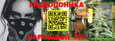 гашик Долгопрудный
