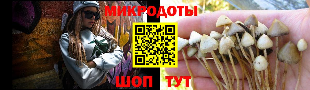 Галлюциногенные грибы Psilocybe Богородск
