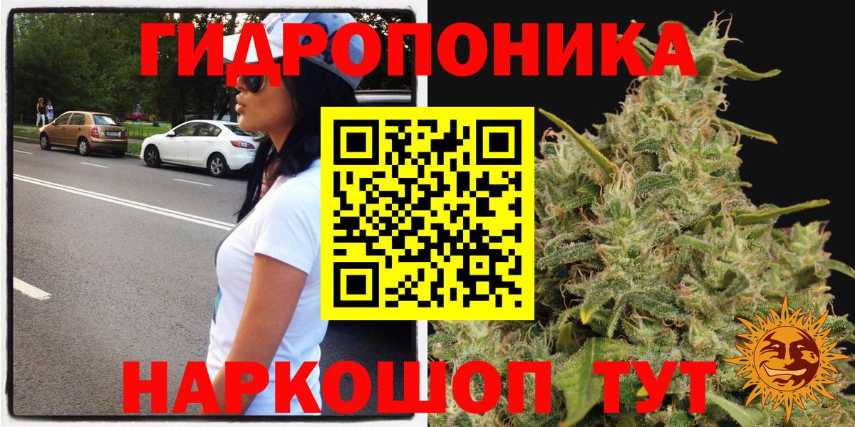 Каннабис SATIVA & INDICA  Вход с VPN  Богородск  Каннабис SATIVA & INDICA  Бошки Шишки ГИДРОПОН 
